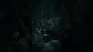 Green Forest #forest  #short #nature #tranding #animals #subscribe #new # International#cartoon