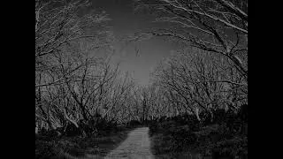 David Serrano Dj & Fran Quiros - Myself (Original Mix)