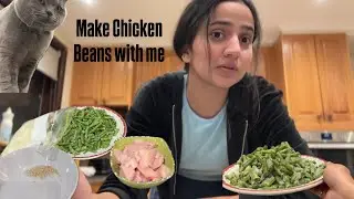 Another day in life of an international student. Aur mere ghar waly rush dalne ma sab se agy😡 #vlog
