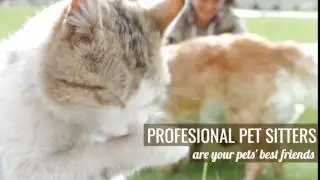 Professional Pet Sitters Week Video
