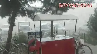 Каттакургонда кучли шамол булди