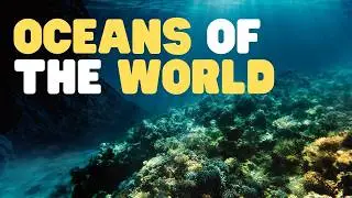 Oceans of the World for Kids | Learn all about the 5 Oceans