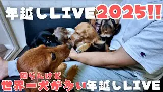 【年越しLIVE】多分世界一犬が多い年越しLIVE、知らんけど