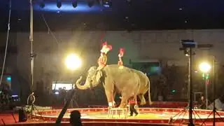 Circo Carden Circus 2021 at Kerrville, Tx