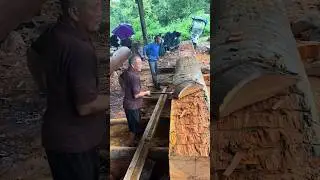 The process of forming a profile on a log using an axe #shorts