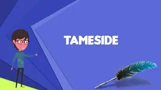 What is Tameside? Explain Tameside, Define Tameside, Meaning of Tameside