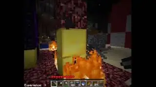 MC Paladin SMP: Singleplayer - Beta 1.21 VHS [11]