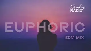 Euphoric EDM  Mix | The Best Songs | #edm #drivingmusic #dancemusic #backgroundmusic