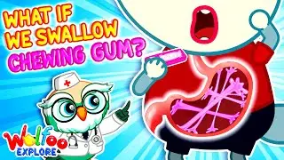 What If We Swallow Chewing Gum? 🤔| 🔍 Wolfoo Explore  - Human Body | Educational Videos for Kids