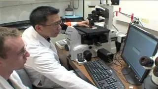 Pediatric Brain Tumor Foundation&reg;
