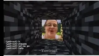 Ohh I won&rsquo;t let you go minecraft meme
