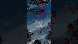 Chellame Thangame Mellama Paaradi😇#lyrics_whatsapp_status #lovemusic #songstatus #ytshorts
