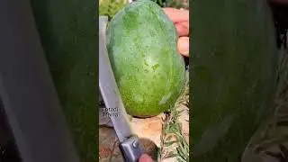 Mango Face Swap: The Results Are Hilarious 😂🤣 #funny #comedy #shorts