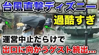 暴風&強雨!運営中止続出の異常事態!台風直撃日が想像以上にヤバすぎた!【ディズニー・ファンタジースプリングス】