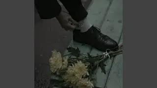 Цветы