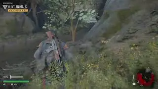 PS5 Days Gone live
