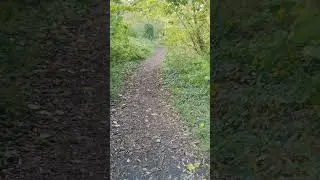 Google Pixel 5 stabilisation video 4k