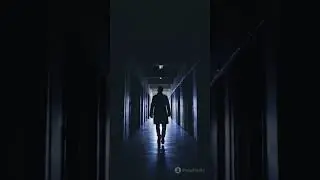 Echoes in the Dark: The Abandoned Asylum Mystery