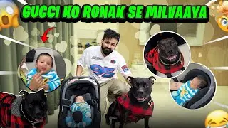 BABY KO PITBULL DOG SE MILVAAYA 🐶😱 || SWATI DARR GAYI 😅 || RajatSwatiVlogs  