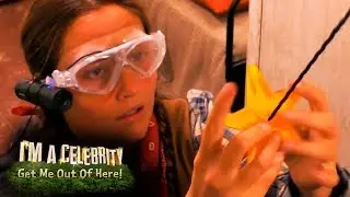 Jacqueline Storms Snake Hotel to Grab a Full Set of Stars | I'm A Celebrity... Get Me Out Of Here!