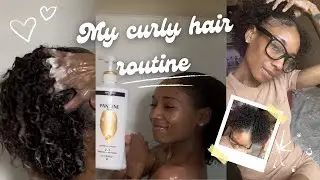 My Curly Hair Routine: Wash routine, Less frizz & long lasting bouncy defined curls ᥫ᭡