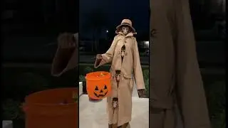 Monkeys in Disguise Caught on Doorbell Cam | #monkey #halloween #doorbellcam #funny #ai