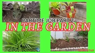 PARTIME JOB PART (2) GARDENING FLOWERS || ASIAN GIRL||