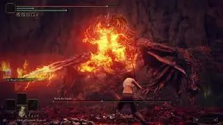 first bayle kill, no summons/abilities/spells etc, lvl 118, scadu 8