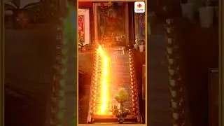 Sharanam Ayyappa | Tulu Bhaktigeethe | Ajay Warriar | Gorge Thomas | Sujith S Naravi #shorts