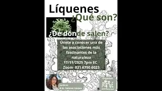Líquenes - Qué son? con Salomé Gómez
