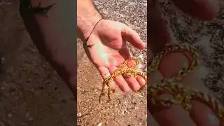 Beach Find &ndash; Lost Gold Chain Discovered on the Beach!