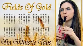 Sting - Fields Of Gold | Tin Whistle Tabs Tutorial