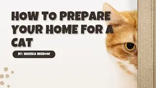 Kitten-Proofing Secrets: Ensure a Safe and Happy Home for Your New Cat