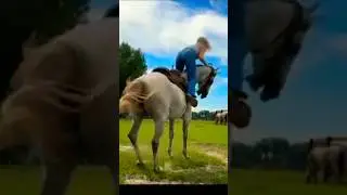 Подборка глупых людей: самые смешные провалы