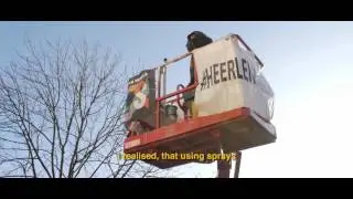 Heerlen Murals invites AEC Interesni Kazki