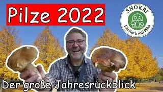 Pilze 2022 - Der gro&szlig;e Jahresr&uuml;ckblick