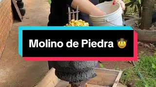 Tortillas de nixtamal en molino de piedra 🤠🌽