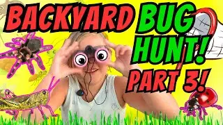 BACKYARD BUG HUNT ADVENTURE for Kids!🕷️Violet Finds Spiders, Lizards, Butterflies & More! 
