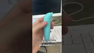 Golfinho Vibrador
