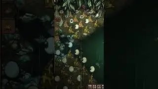 How the shark displace the Celestial Champion