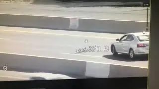 Israel Police Help Family of Ducks Cross Highway