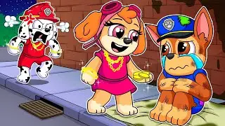 Poor Pregnant Skye is Abandoned! Please Don't Leave Me - Very Sad Story | Paw Patrol 2D