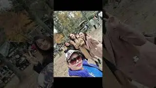 2023 Autumn at Nami Island S.Korea #autumn2023 #namiisland