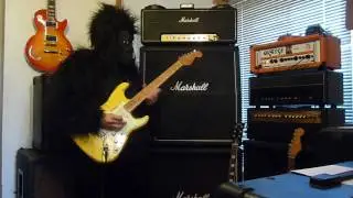 Scalloped Neck - Shred Monkey Approved