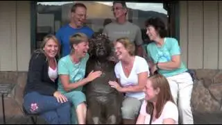Laughing with Einstein