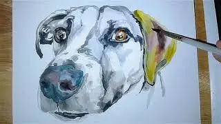 Rosie the Dog