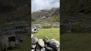 Chauri gai❤️ #travel #vlog #subscribe #nature #trending #love