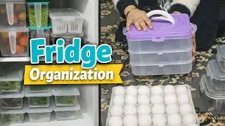 Small Fridge Organization |Space saving & Budget Friendly Organisers 🛍Fridge Organization 2026