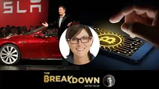 What Early Bets on Tesla and Bitcoin Taught Cathie Wood About Innovation