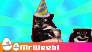 Rotate Your Owl : animated music video : MrWeebl